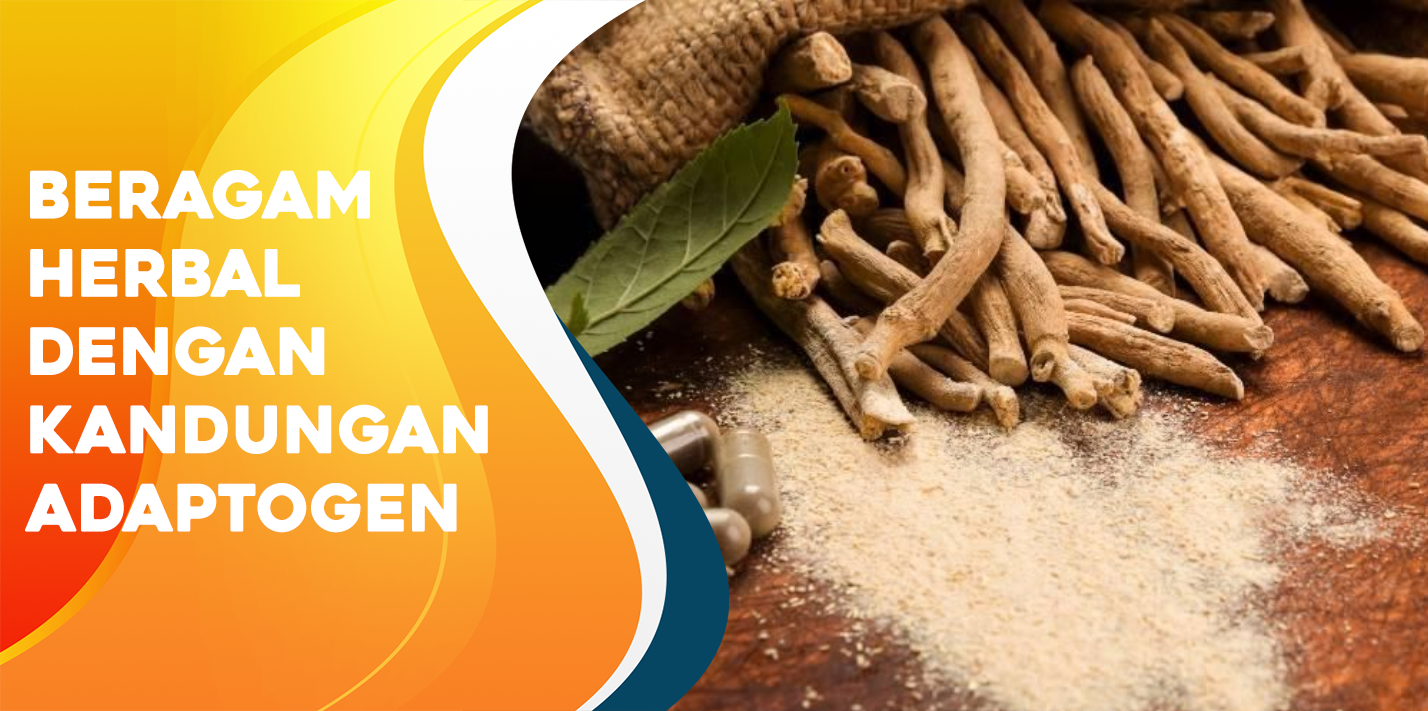 Beragam Herbal Dengan Kandungan Adaptogen